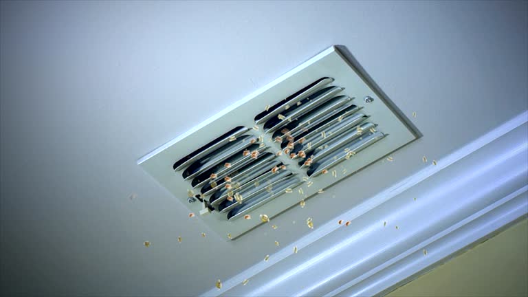 Best Air Duct Cleaning Near Me in Los Alamitos, CA